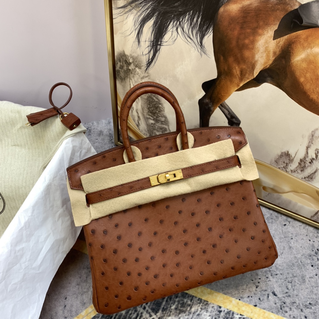 HERMES 25 铂金 南非鸵鸟皮 小可爱，大气易搭配  6C 古铜色 金扣
