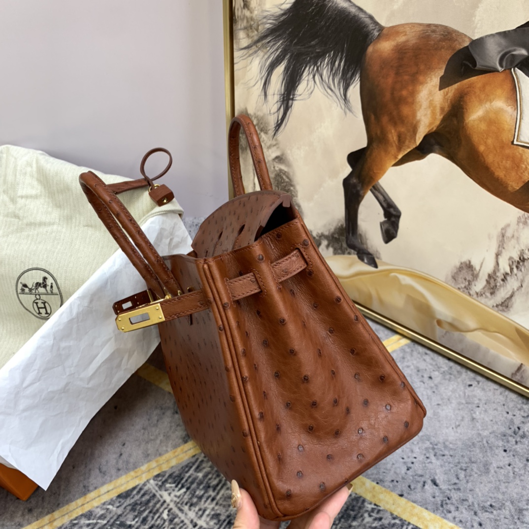 HERMES 25 铂金 南非鸵鸟皮 小可爱，大气易搭配  6C 古铜色 金扣