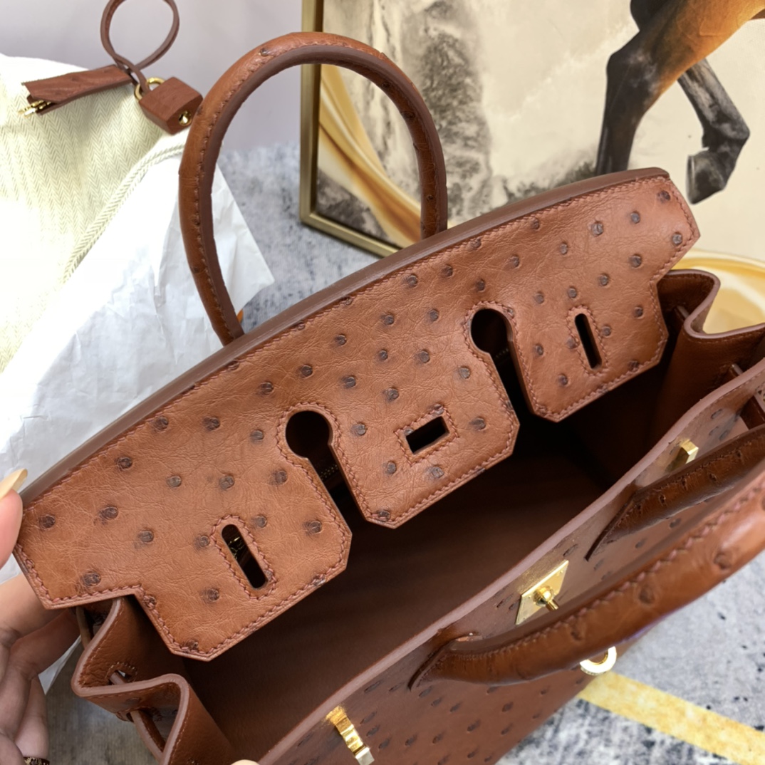 HERMES 25 铂金 南非鸵鸟皮 小可爱，大气易搭配  6C 古铜色 金扣