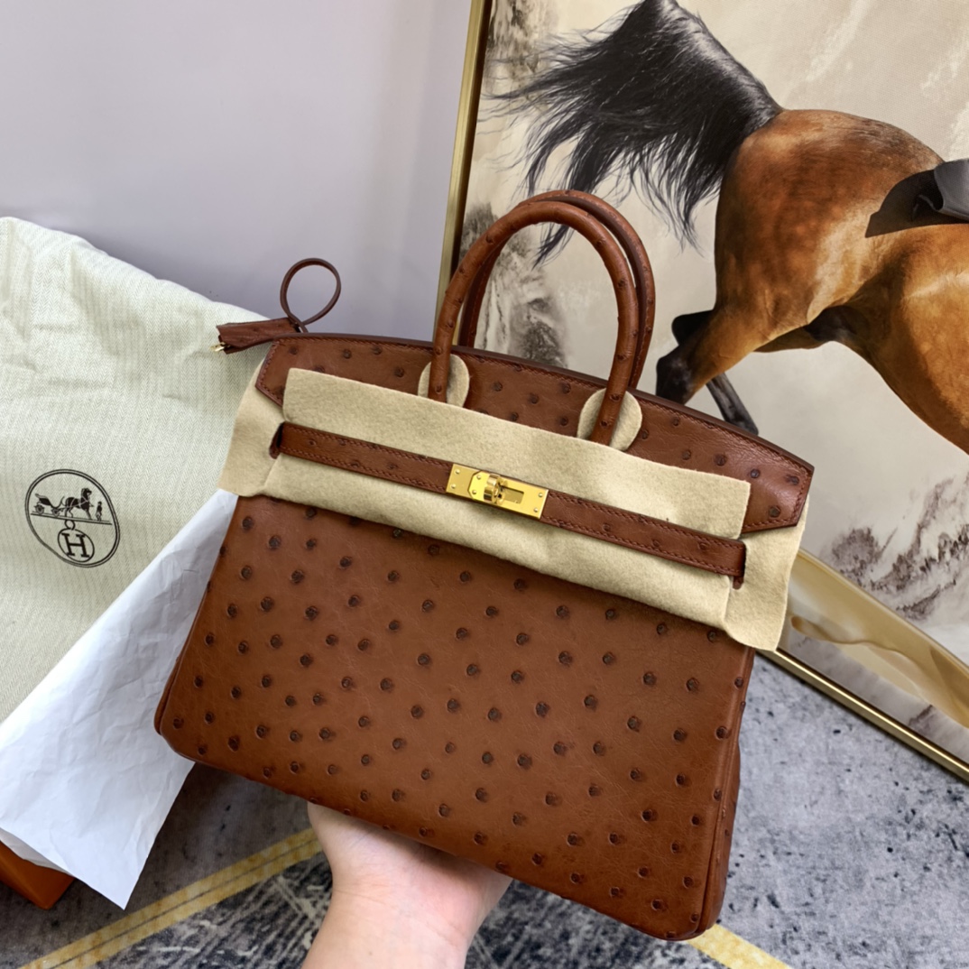 HERMES 25 铂金 南非鸵鸟皮 小可爱，大气易搭配  6C 古铜色 金扣