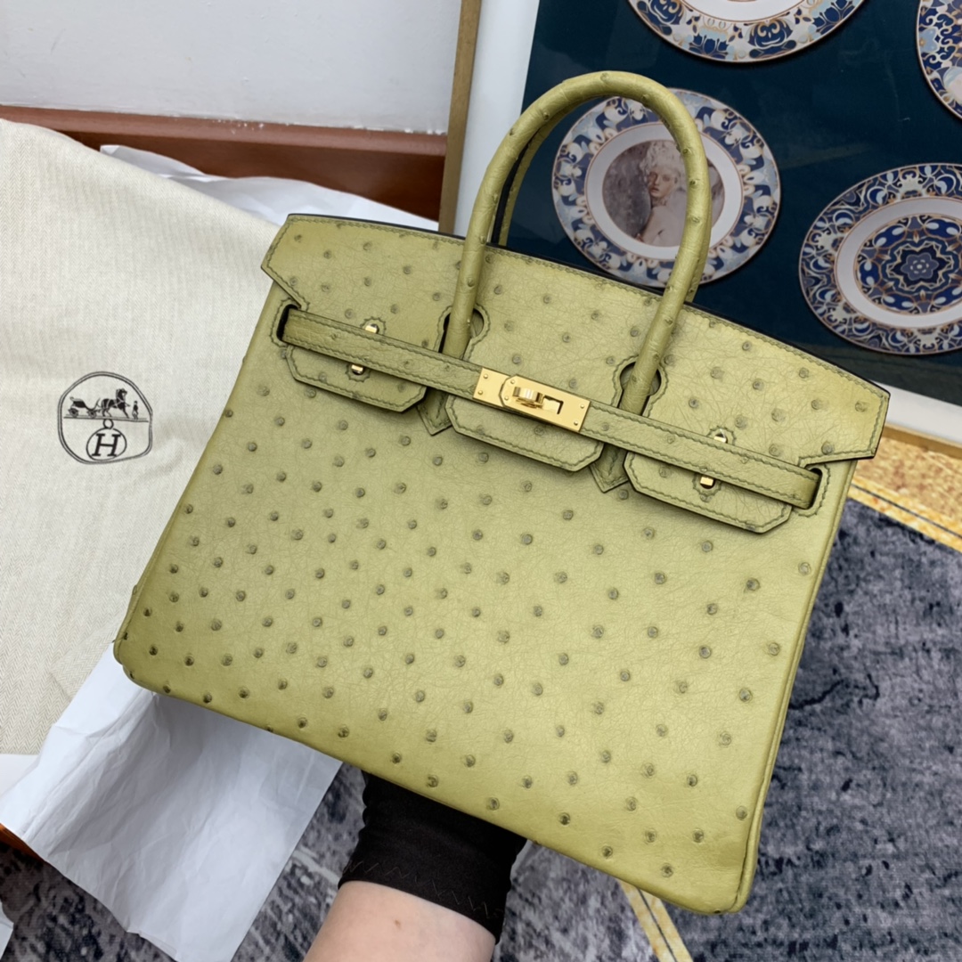 HERMES birkin 25cm 南非Kk鸵鸟皮ostrich 6E黄连木色 金扣