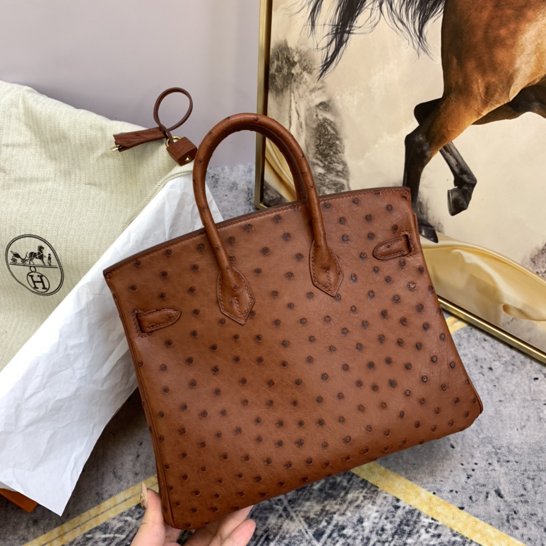 HERMES 25 铂金 南非鸵鸟皮 小可爱，大气易搭配  6C 古铜色 金扣