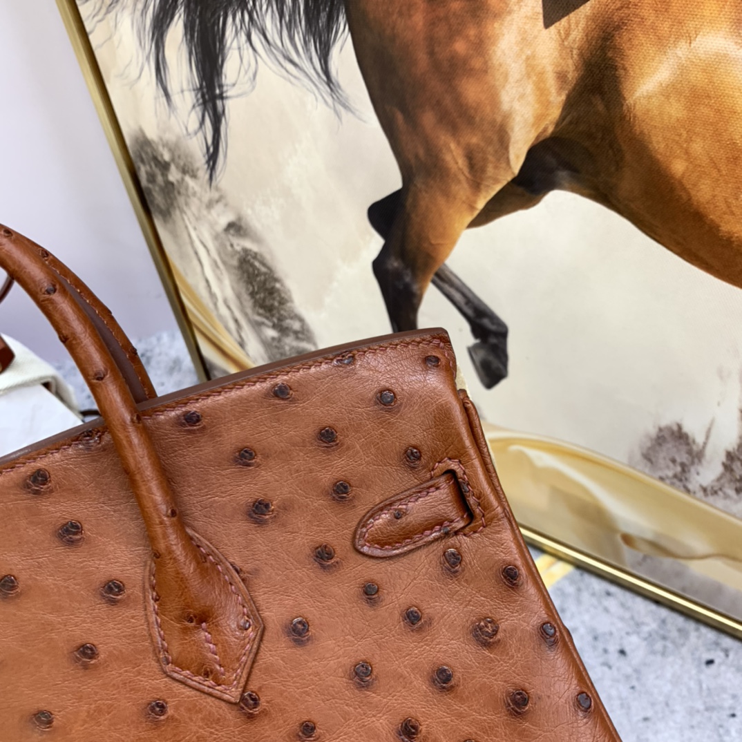 HERMES 25 铂金 南非鸵鸟皮 小可爱，大气易搭配  6C 古铜色 金扣
