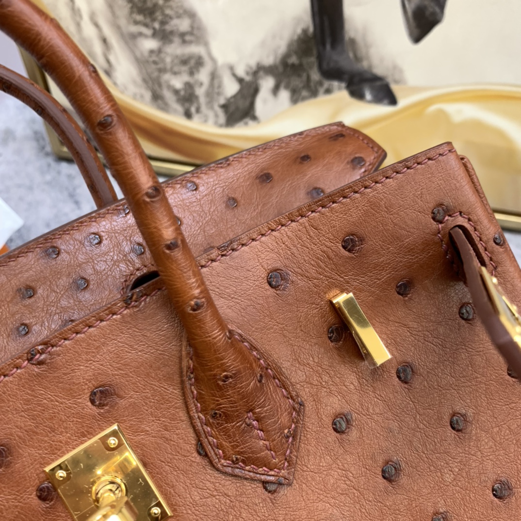 HERMES 25 铂金 南非鸵鸟皮 小可爱，大气易搭配  6C 古铜色 金扣