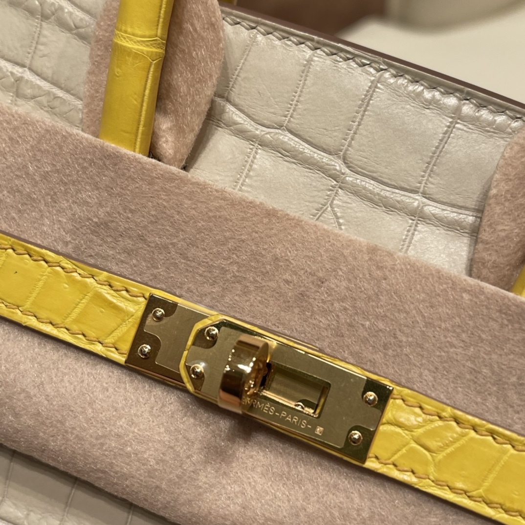 HERMES 官网 爱马仕 25birkin 尼罗Nilo雾面鳄鱼 号称小喜马拉雅的高冷调8L 冰川白拼俏皮的M9 金盏花黄金扣，高贵不失活泼 ，马蹄两点刻印 唯美的搭配