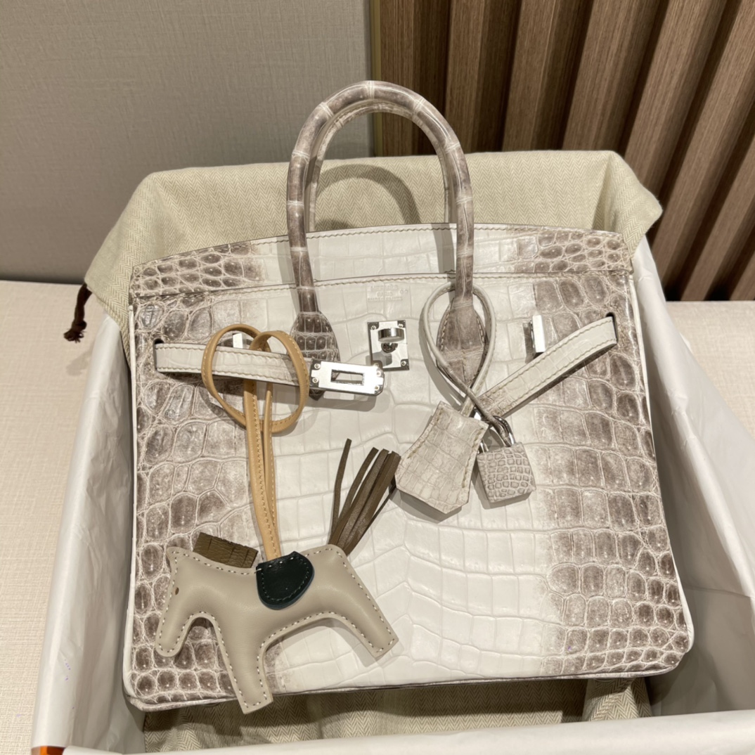 HERMES 爱马仕 01 喜马拉雅Himalaya Dream Bag 当之无愧的C位 25x20x13cm