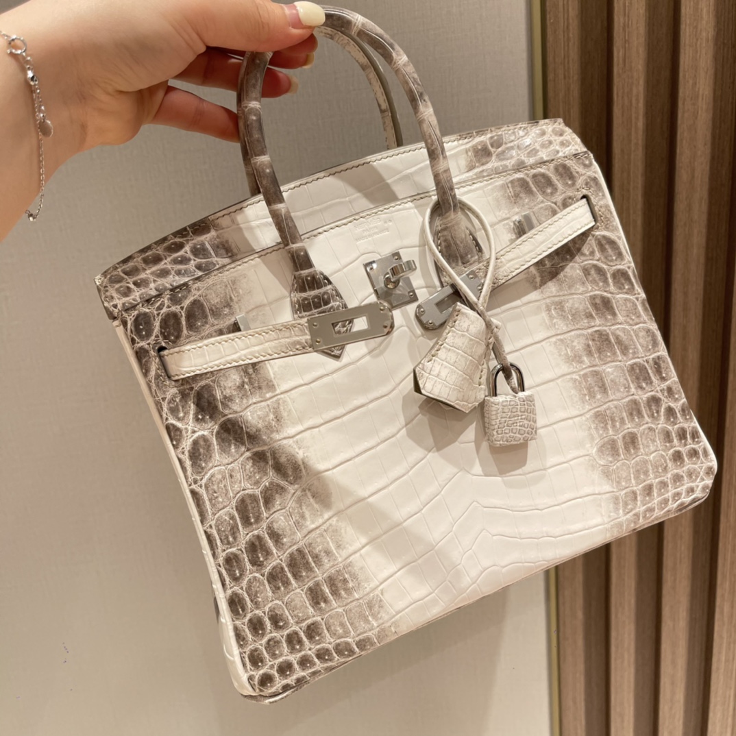 HERMES 爱马仕 01 喜马拉雅Himalaya Dream Bag 当之无愧的C位 25x20x13cm