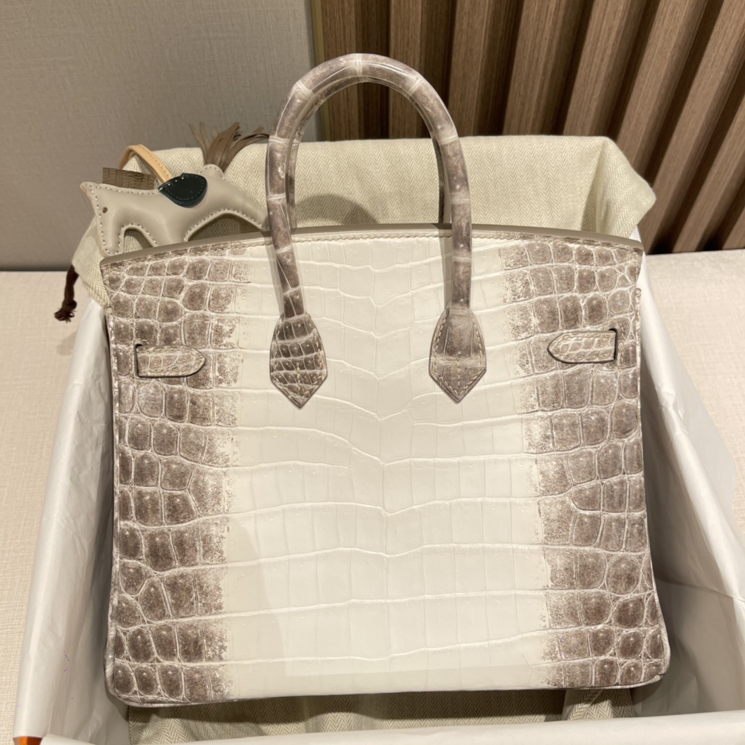 HERMES 爱马仕 01 喜马拉雅Himalaya Dream Bag 当之无愧的C位 25x20x13cm