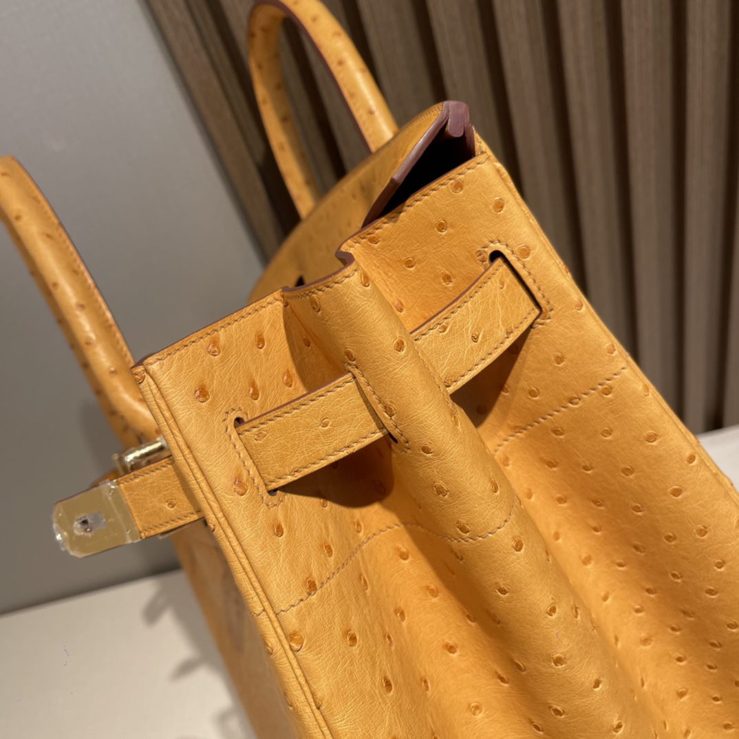 HERMES 爱马仕 超酷的HAC 40cm 鸵鸟自重可以接受 可以作为短途旅行袋 22 赛蜂皇 93 orange