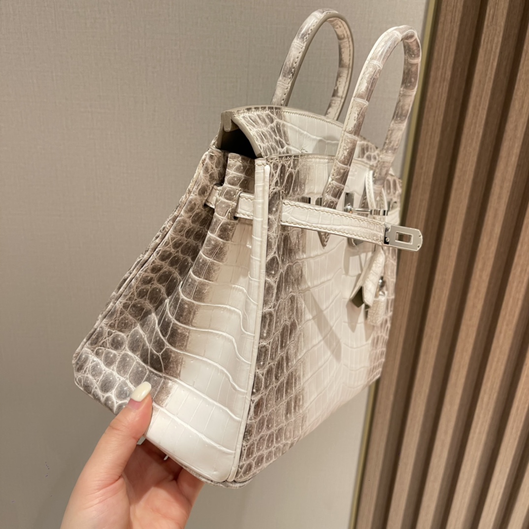 HERMES 爱马仕 01 喜马拉雅Himalaya Dream Bag 当之无愧的C位 25x20x13cm